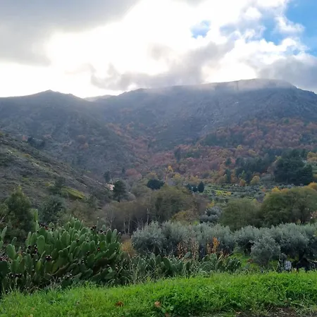 펜션 Casa De Aldeia Vale Do Mondego