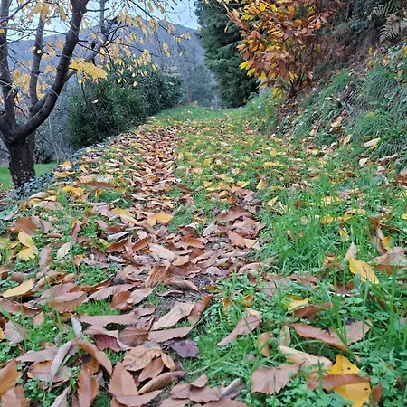 Casa De Aldeia Vale Do Mondego *