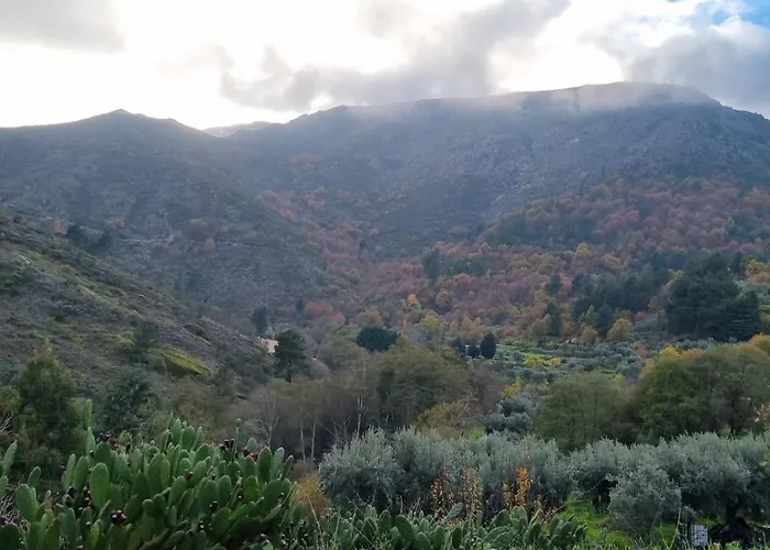 Holiday home Casa De Aldeia Vale Do Mondego