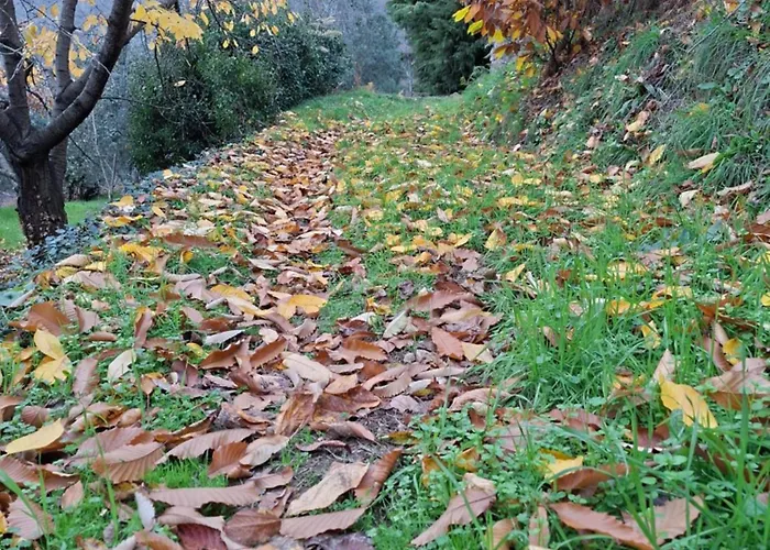 Casa De Aldeia Vale Do Mondego *